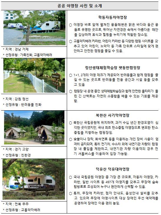 분야별 대표 선정 사례