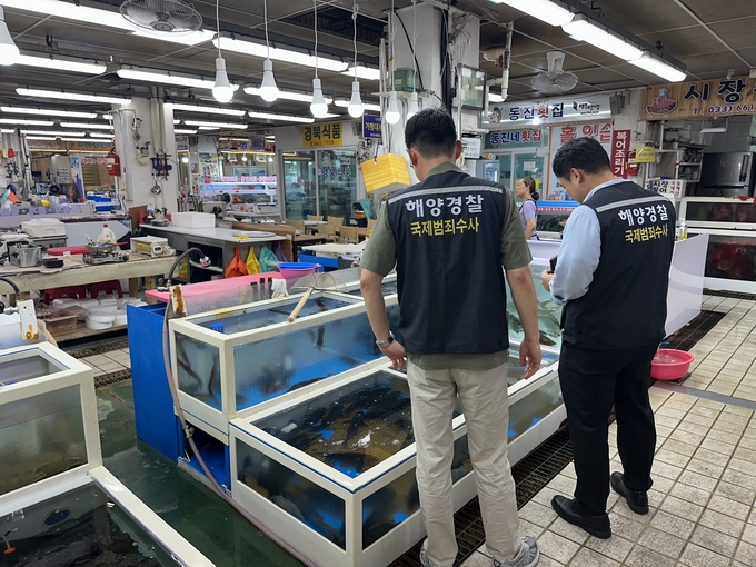 24년 8월 강릉에서 수산물 원산지 합동단속을 하고있다.