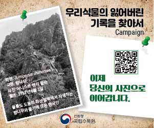 온라인 캠페인 배너 이미지