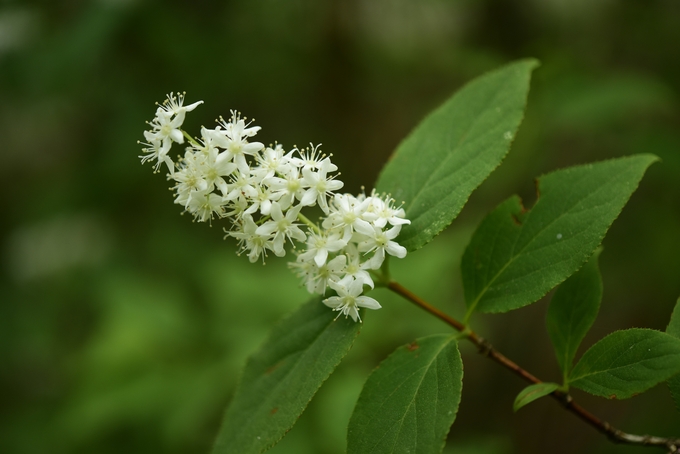 출처=산림청